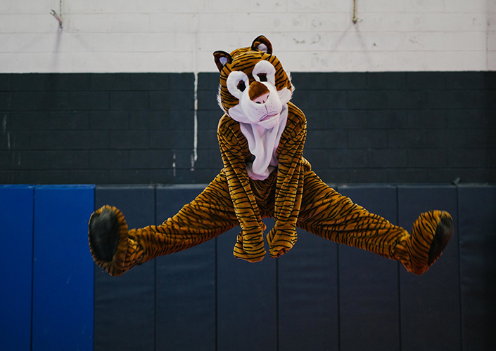 https://www.barnstableacademy.com/app/uploads/2019/05/Mascot.jpg